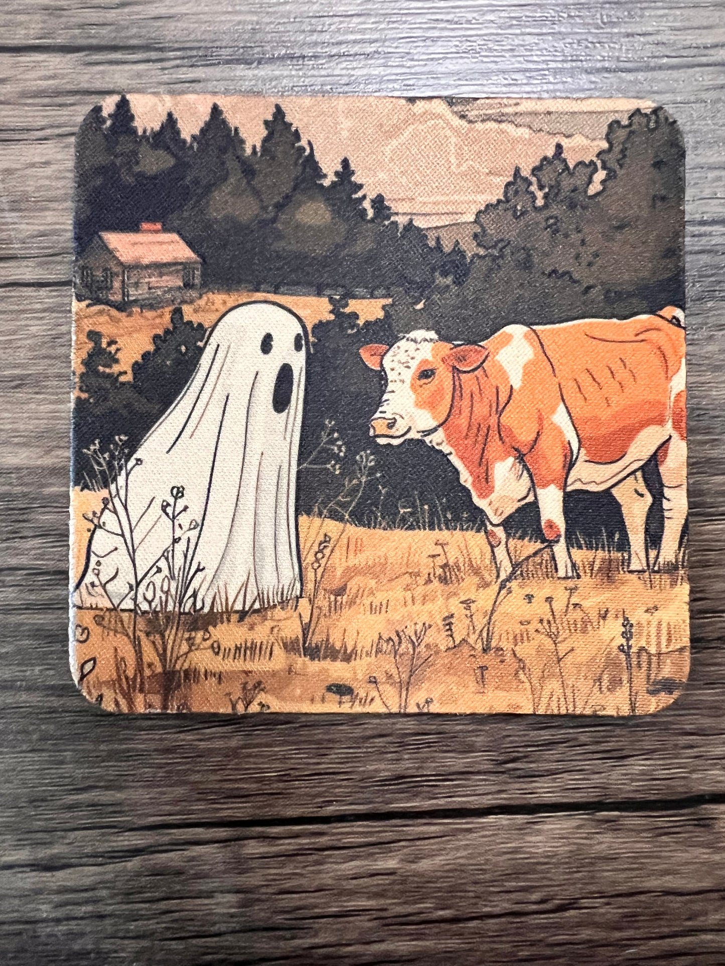 Fall Vibes Coaster